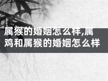 属猴的婚姻怎么样,属鸡和属猴的婚姻怎么样