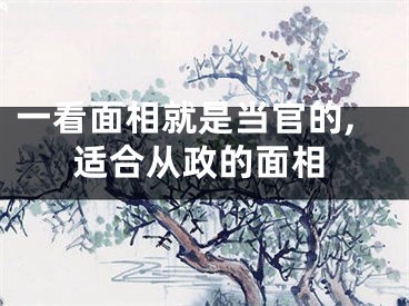 一看面相就是当官的,适合从政的面相
