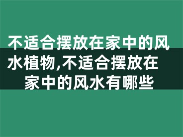 不适合摆放在家中的风水植物,不适合摆放在家中的风水有哪些