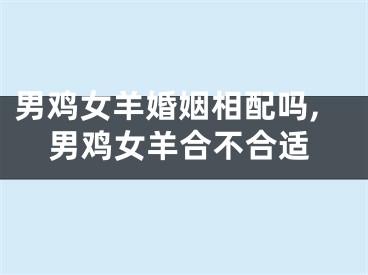 男鸡女羊婚姻相配吗,男鸡女羊合不合适