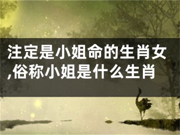 注定是小姐命的生肖女,俗称小姐是什么生肖