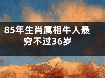 85年生肖属相牛人最穷不过36岁