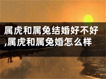属虎和属兔结婚好不好,属虎和属兔婚怎么样