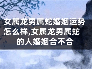 女属龙男属蛇婚姻运势怎么样,女属龙男属蛇的人婚姻合不合