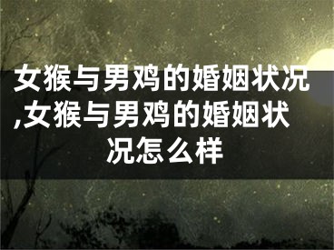 女猴与男鸡的婚姻状况,女猴与男鸡的婚姻状况怎么样