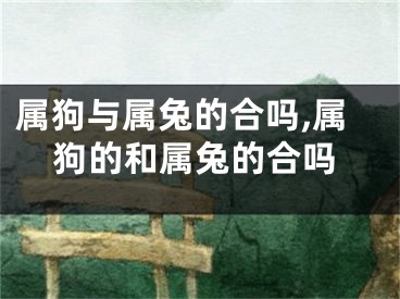 属狗与属兔的合吗,属狗的和属兔的合吗