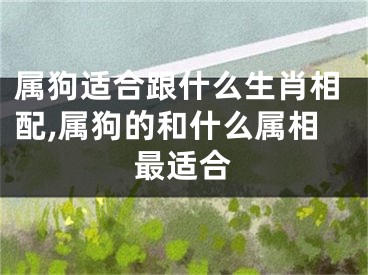 属狗适合跟什么生肖相配,属狗的和什么属相最适合