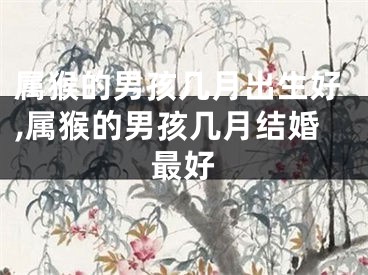 属猴的男孩几月出生好,属猴的男孩几月结婚最好
