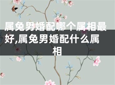 属兔男婚配哪个属相最好,属兔男婚配什么属相