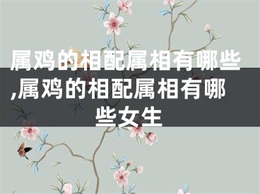 属鸡的相配属相有哪些,属鸡的相配属相有哪些女生