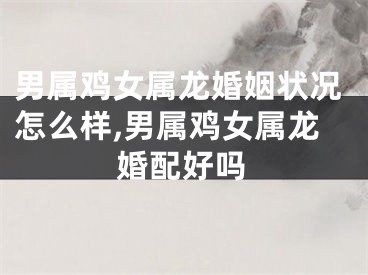 男属鸡女属龙婚姻状况怎么样,男属鸡女属龙婚配好吗