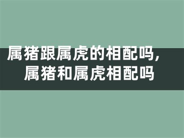 属猪跟属虎的相配吗,属猪和属虎相配吗