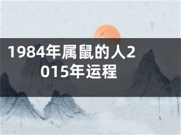 1984年属鼠的人2015年运程