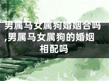 男属马女属狗婚姻合吗,男属马女属狗的婚姻相配吗