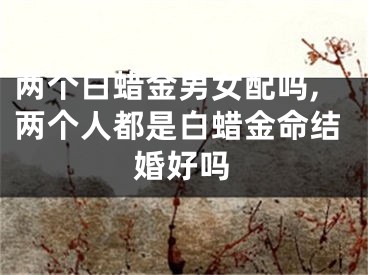 两个白蜡金男女配吗,两个人都是白蜡金命结婚好吗