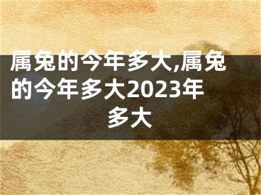 属兔的今年多大,属兔的今年多大2023年多大