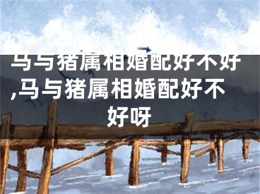 马与猪属相婚配好不好,马与猪属相婚配好不好呀