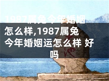 1987属兔今年婚姻怎么样,1987属兔今年婚姻运怎么样 好吗