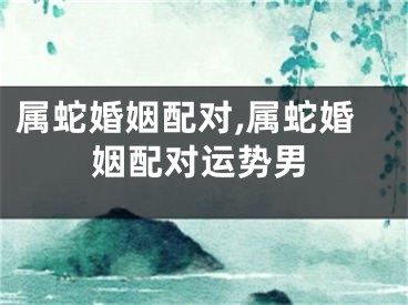 属蛇婚姻配对,属蛇婚姻配对运势男