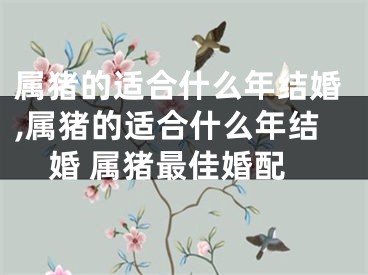 属猪的适合什么年结婚,属猪的适合什么年结婚 属猪最佳婚配