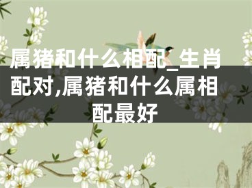 属猪和什么相配_生肖配对,属猪和什么属相配最好