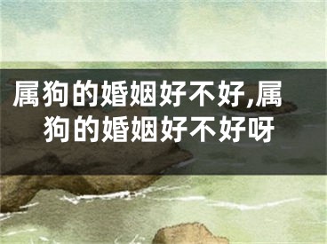 属狗的婚姻好不好,属狗的婚姻好不好呀