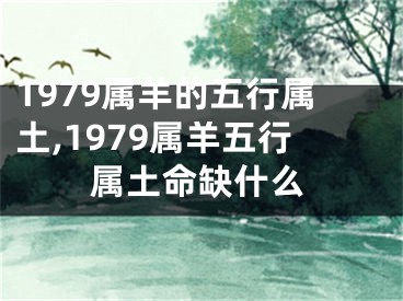 1979属羊的五行属土,1979属羊五行属土命缺什么