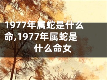 1977年属蛇是什么命,1977年属蛇是什么命女