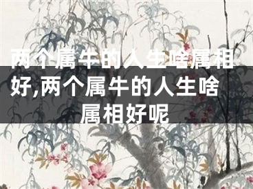 两个属牛的人生啥属相好,两个属牛的人生啥属相好呢