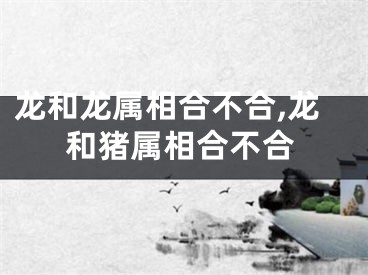 龙和龙属相合不合,龙和猪属相合不合
