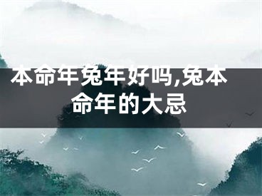 本命年兔年好吗,兔本命年的大忌