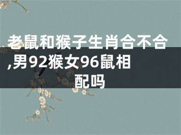 老鼠和猴子生肖合不合,男92猴女96鼠相配吗