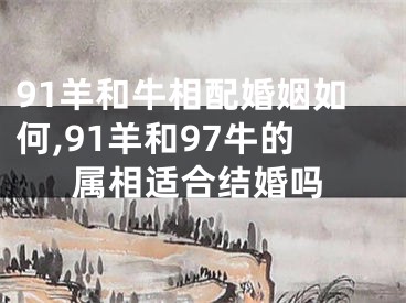 91羊和牛相配婚姻如何,91羊和97牛的属相适合结婚吗