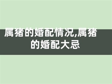 属猪的婚配情况,属猪的婚配大忌