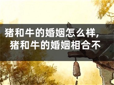 猪和牛的婚姻怎么样,猪和牛的婚姻相合不