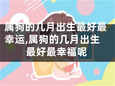 属狗的几月出生最好最幸运,属狗的几月出生最好最幸福呢