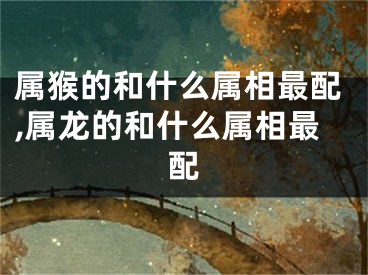 属猴的和什么属相最配,属龙的和什么属相最配
