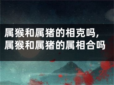 属猴和属猪的相克吗,属猴和属猪的属相合吗