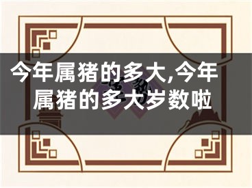今年属猪的多大,今年属猪的多大岁数啦