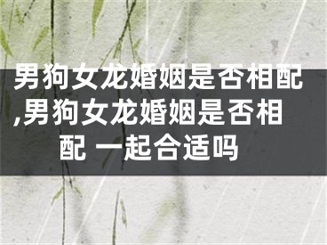 男狗女龙婚姻是否相配,男狗女龙婚姻是否相配 一起合适吗