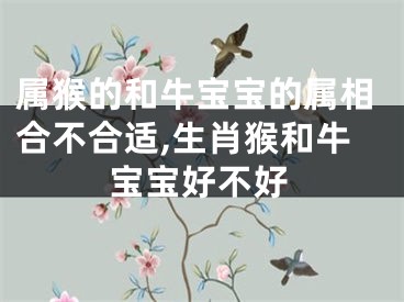 属猴的和牛宝宝的属相合不合适,生肖猴和牛宝宝好不好