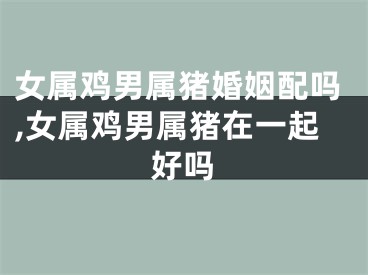女属鸡男属猪婚姻配吗,女属鸡男属猪在一起好吗