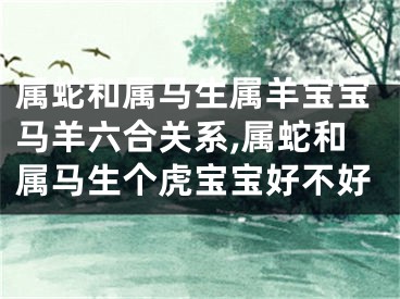 属蛇和属马生属羊宝宝马羊六合关系,属蛇和属马生个虎宝宝好不好