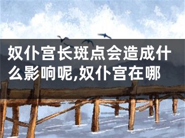 奴仆宫长斑点会造成什么影响呢,奴仆宫在哪