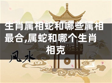 生肖属相蛇和哪些属相最合,属蛇和哪个生肖相克