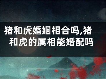猪和虎婚姻相合吗,猪和虎的属相能婚配吗