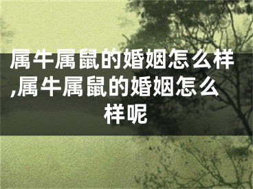 属牛属鼠的婚姻怎么样,属牛属鼠的婚姻怎么样呢
