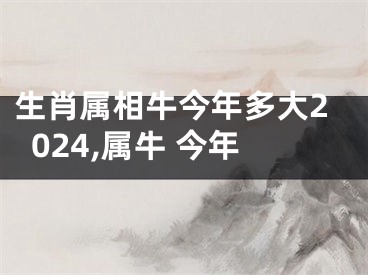 生肖属相牛今年多大2024,属牛 今年