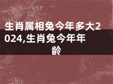 生肖属相兔今年多大2024,生肖兔今年年龄