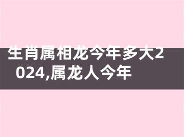 生肖属相龙今年多大2024,属龙人今年